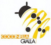 Coccinella Gialla